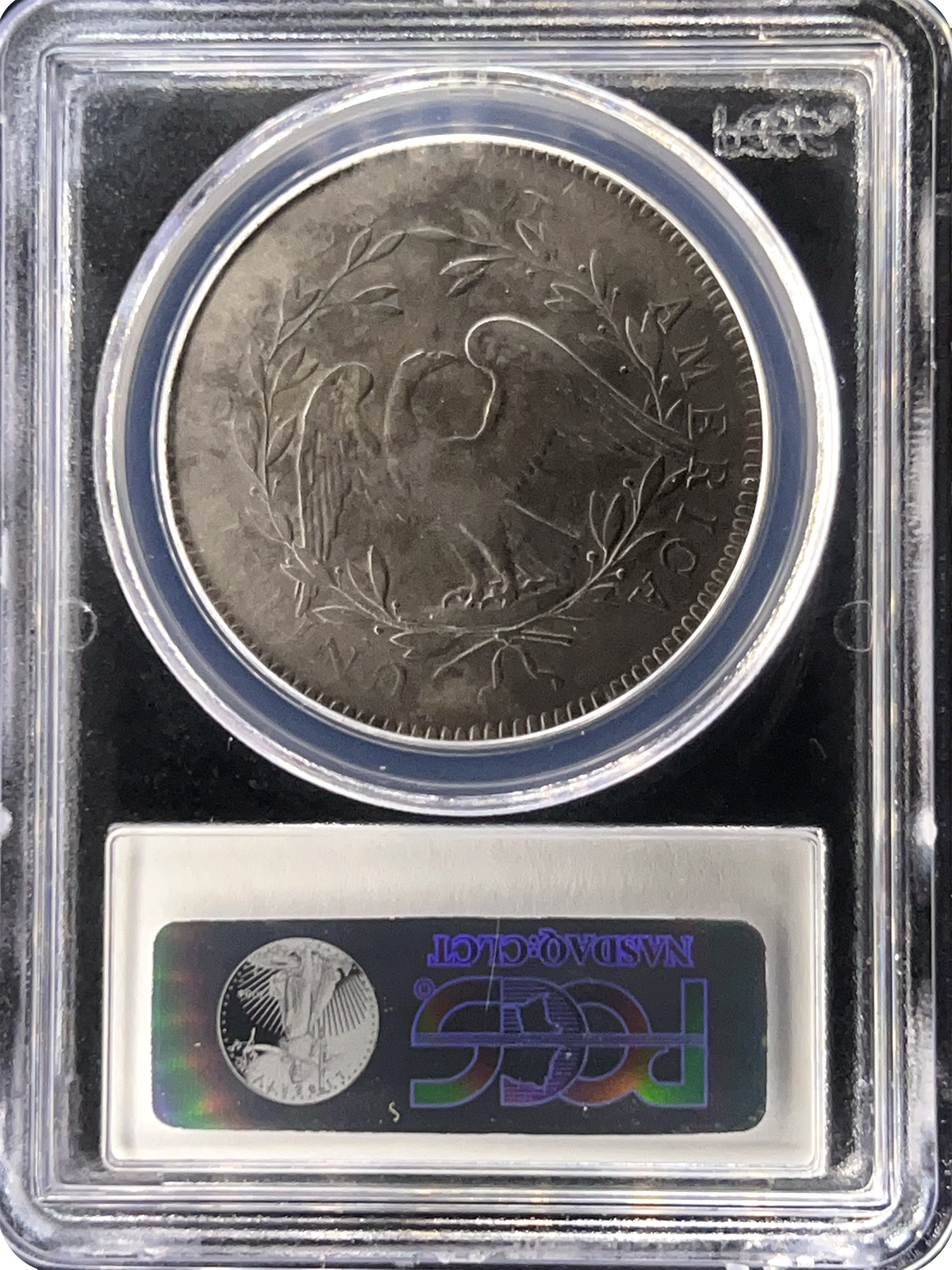 Halumin-C: Pre-Order The Ultimate Coin Photography and Small Collectables Illumination - Pro Photos Using Your Camera or Phone